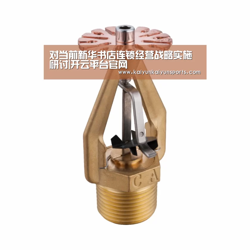 对当前新华书店连锁经营战略实施研讨|开云平台官网(图1) 开云平台官网
