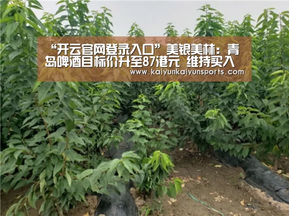 “开云官网登录入口”美银美林:青岛啤酒目标价升至87港元 维持买入评级(图1) 开云官网登录入口